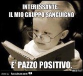 FB_IMG_1678796061469.jpg