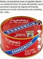 FB_IMG_1678896141689.jpg