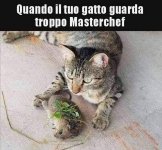 FB_IMG_1678884313661.jpg
