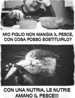 FB_IMG_1678344331656.jpg