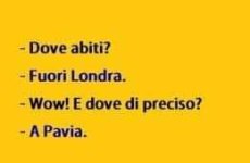 FB_IMG_1678975821700.jpg