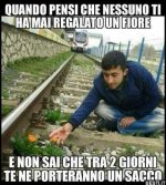FB_IMG_1679059073595.jpg