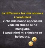 FB_IMG_1679059015744.jpg