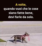 FB_IMG_1679043094283.jpg
