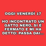 FB_IMG_1679043040266.jpg