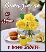 FB_IMG_1679096228246.jpg