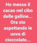 FB_IMG_1679490389626.jpg