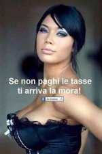 FB_IMG_1679505788301.jpg