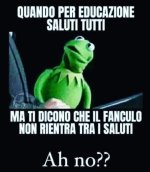 FB_IMG_1679667242715.jpg