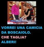 FB_IMG_1679581434117.jpg