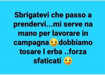 SmartSelect_20230326-160930_Facebook.jpg