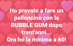 FB_IMG_1679927298422.jpg