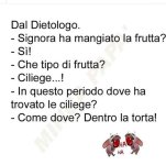 FB_IMG_1679909627282.jpg