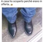 FB_IMG_1679905815166.jpg
