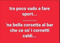 FB_IMG_1679905780754.jpg