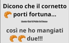 FB_IMG_1680007728582.jpg