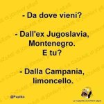 FB_IMG_1679989442527.jpg