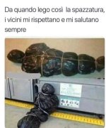 FB_IMG_1679989309961.jpg