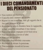 FB_IMG_1680079571195.jpg