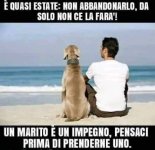 FB_IMG_1680072569823.jpg