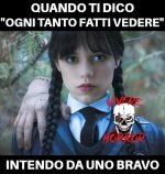 FB_IMG_1680065516881.jpg