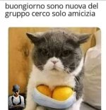 FB_IMG_1680165038406.jpg