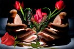 cuore di rosa.jpg