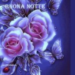notte 11.jpg