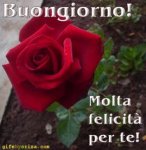 buongionro.jpg