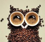 bgiorno-gufo-caff&#232;.jpg