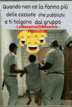 FB_IMG_1680279896268.jpg