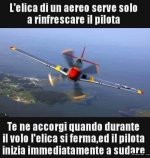 FB_IMG_1680275749570.jpg