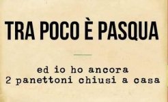FB_IMG_1680275229082.jpg