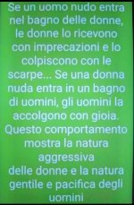 FB_IMG_1680274091511.jpg