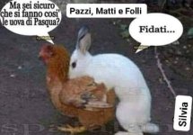FB_IMG_1680248954094.jpg