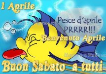 FB_IMG_1680332246264.jpg
