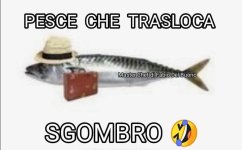 FB_IMG_1680365693566.jpg