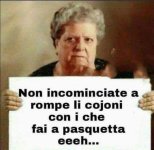 FB_IMG_1680538816952.jpg