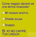 FB_IMG_1680594289656.jpg
