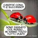 FB_IMG_1680702583113.jpg