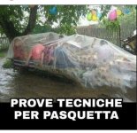 FB_IMG_1680670548813.jpg