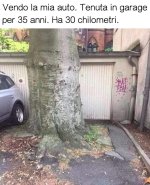 FB_IMG_1680858613104.jpg