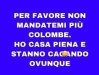FB_IMG_1680959388217.jpg