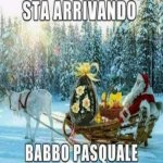 FB_IMG_1680959214365.jpg