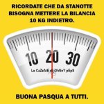 FB_IMG_1680947439171.jpg
