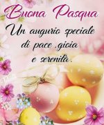 FB_IMG_1681022219511.jpg