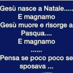 FB_IMG_1681108804742.jpg