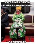 FB_IMG_1681235971077.jpg