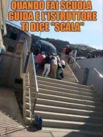 FB_IMG_1681235588086.jpg