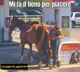FB_IMG_1681301610886.jpg